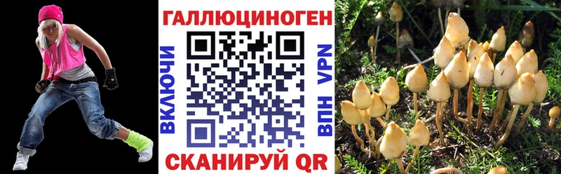 Псилоцибиновые грибы Cubensis  как найти   Санкт-Петербург 